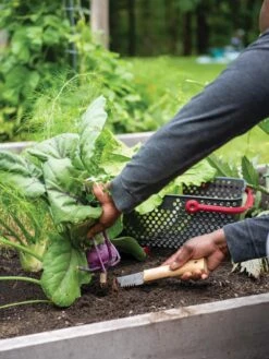 Gardener's Lifetime Hori Hori Knife -Soil N Tool Sales 8608888 0422 tif