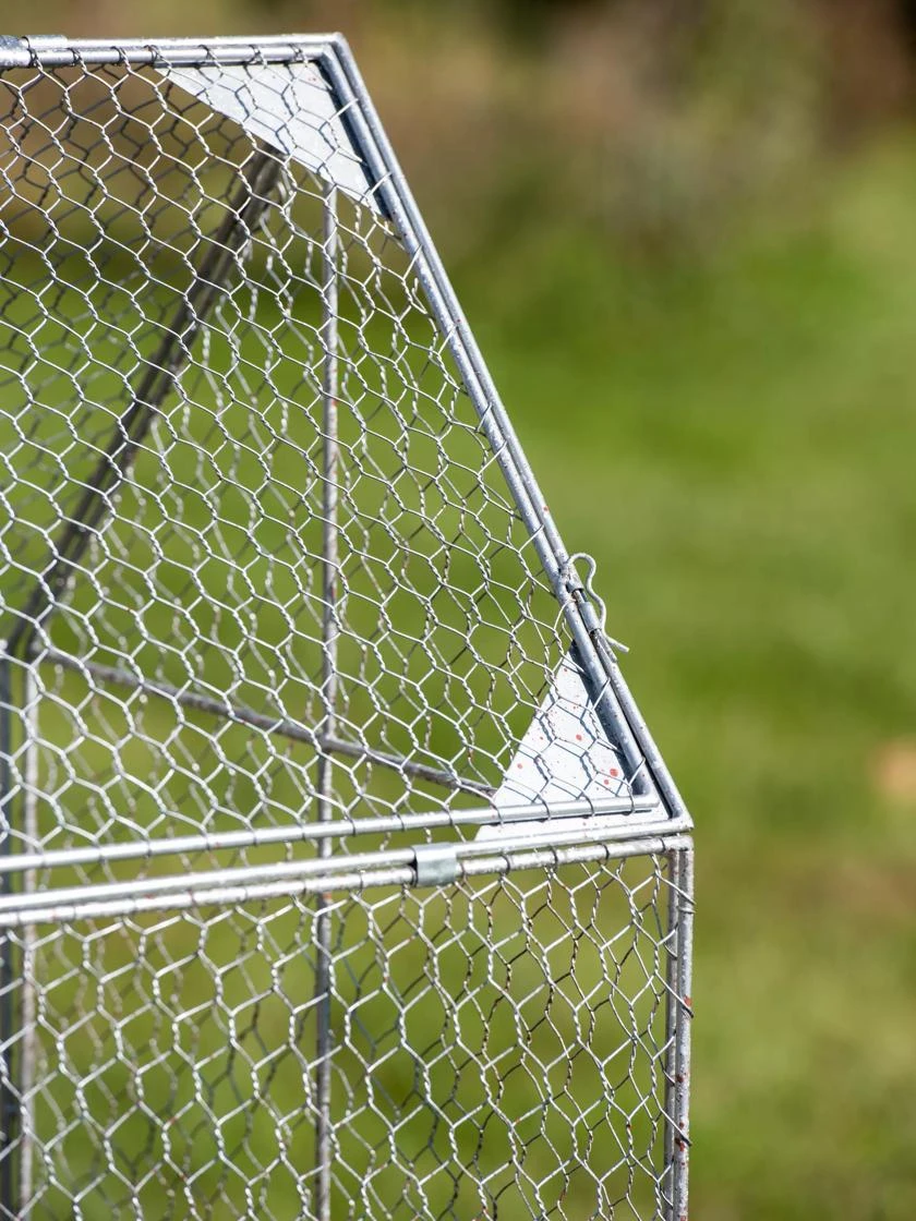 Chicken Wire Crop Coop 8 Chicken Wire Crop Coop - Image 8