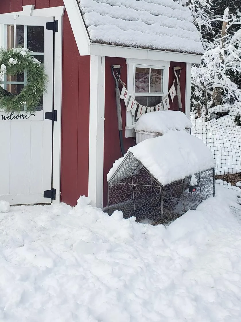Chicken Wire Crop Coop 10 Chicken Wire Crop Coop - Image 10