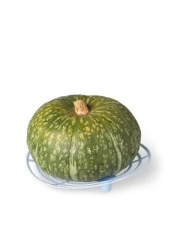 Melon And Squash Cradles, Set Of 6 6 Melon And Squash Cradles, Set Of 6 -Soil N Tool Sales 8609464 5204 tif