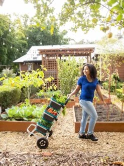 Mod Hod Trolley With Teal Mod Hods -Soil N Tool Sales 8610240 0070 tif