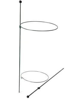 Peacock Classic Plant Support Rings 15", Set Of 2 -Soil N Tool Sales 8610384 9562 tif