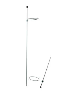 Peacock Mini Plant Support Rings 4", Set Of 2 -Soil N Tool Sales 8610386 9566