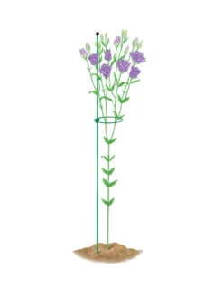 Peacock Mini Plant Support Rings 4", Set Of 2 -Soil N Tool Sales 8610386 peacock4x36