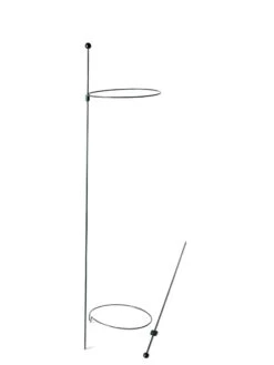 Peacock Mini Plant Support Rings 8", Set Of 2 -Soil N Tool Sales 8610388 9565 tif