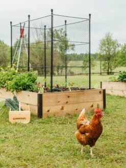 Tall Chicken Wire Critter Fence With Gate 17 Tall Chicken Wire Critter Fence With Gate -Soil N Tool Sales 8611020 316 tif