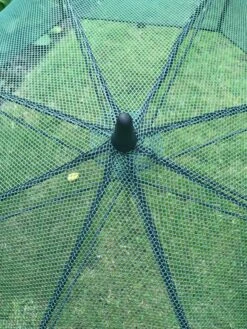 GardenSkill Pop N Crop Plant Umbrella -Soil N Tool Sales 8611105 07V tif