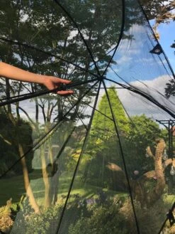 GardenSkill Pop N Crop Plant Umbrella -Soil N Tool Sales 8611105 09V tif