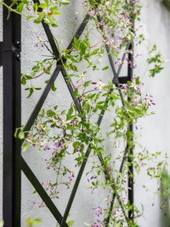 Lattice Gable Wall Trellis -Soil N Tool Sales 8611130 011