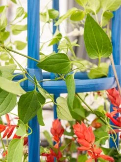 Fleur De Lis Obelisk, 67" 7 Fleur De Lis Obelisk, 67" -Soil N Tool Sales 8611663 0607 tif