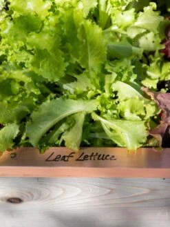 Re-Markable Raised Bed Trim 10 Re-Markable Raised Bed Trim -Soil N Tool Sales 8611757 326 tif