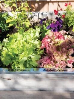 Re-Markable Raised Bed Trim 11 Re-Markable Raised Bed Trim -Soil N Tool Sales 8611758 306 tif