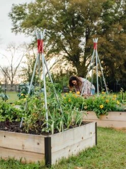 DIY Connector For Teepee Trellis -Soil N Tool Sales 8611896 38 tif