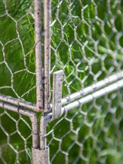 Chicken Wire Crop Coop Extension -Soil N Tool Sales 8611940 232 tif