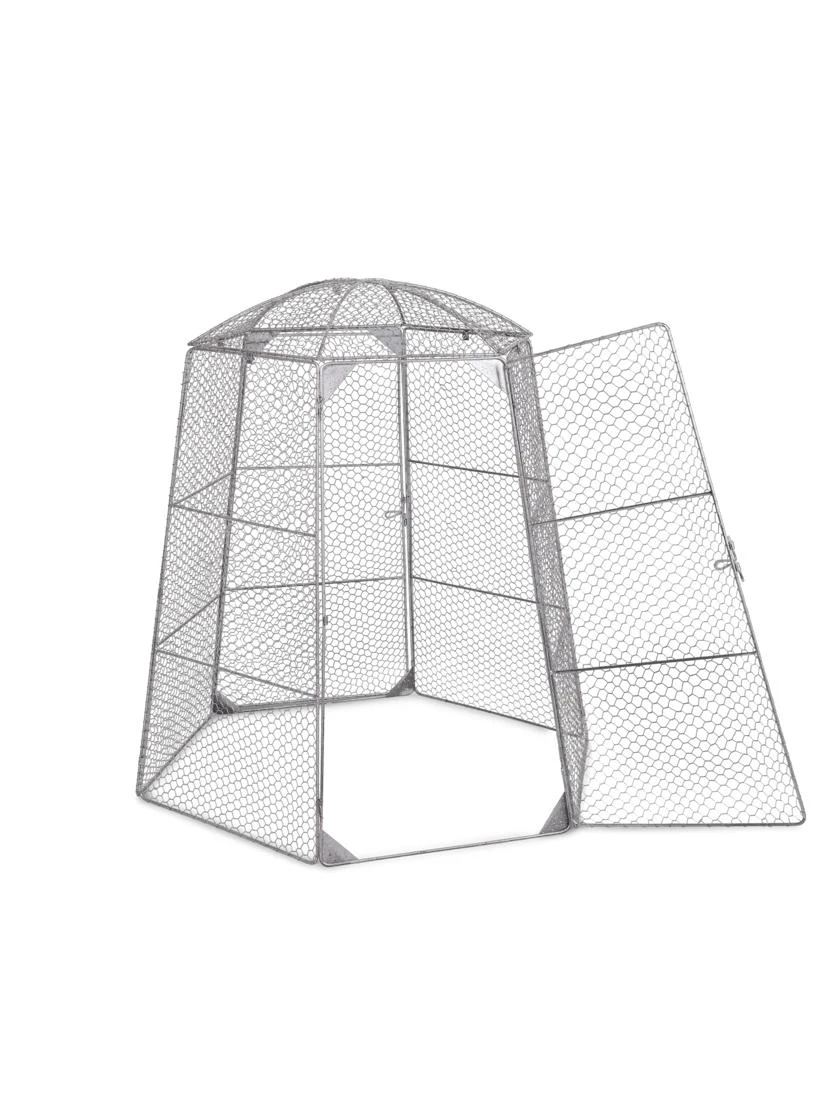 Chicken Wire Super Dome 7 Chicken Wire Super Dome - Image 7