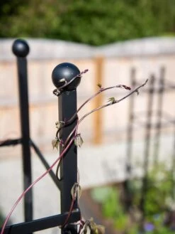 Essex Square Obelisk -Soil N Tool Sales 8611984 278 tif