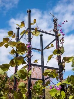 Essex Square Obelisk -Soil N Tool Sales 8611984 354 tif