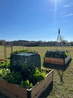 Pest Control Pop-Ups -Soil N Tool Sales 8611989 05 tif