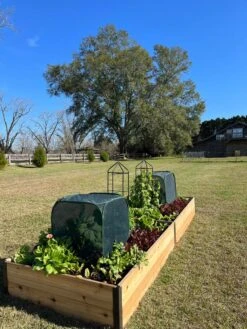 Pest Control Pop-Ups -Soil N Tool Sales 8611989 08 tif