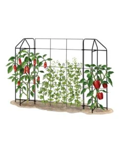 Zenith Trellis -Soil N Tool Sales 8612035 art tif