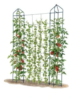 Zenith Trellis -Soil N Tool Sales 8612036 art tif