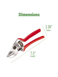 Castellari Mini Anvil Pruner 13 Castellari Mini Anvil Pruner -Soil N Tool Sales 8612199 2
