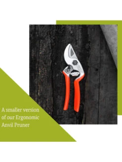 Castellari Mini Anvil Pruner 12 Castellari Mini Anvil Pruner -Soil N Tool Sales 8612199 4