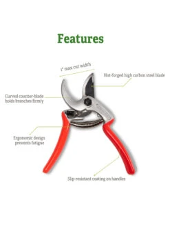 Castellari Mini Anvil Pruner 10 Castellari Mini Anvil Pruner -Soil N Tool Sales 8612199 5