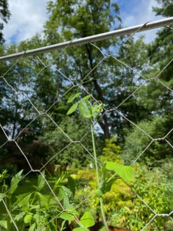 Chicken Wire Pea Trellis 17 Chicken Wire Pea Trellis -Soil N Tool Sales 8612718 7311