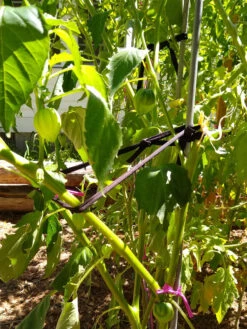 Farmyarn® Multipurpose Garden Tie, 2 Pack -Soil N Tool Sales 8612948 02v