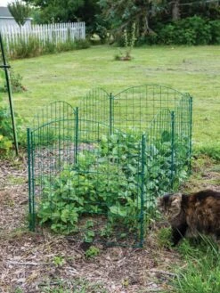 6 Panel Critter Fence With Gate -Soil N Tool Sales 8612967 2570 tif