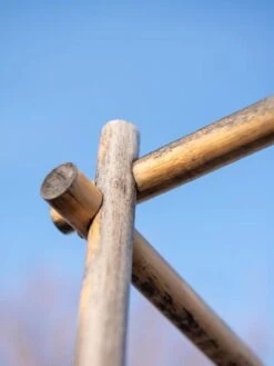 Tomato Six Pack Support -Soil N Tool Sales 8613143 0385 1