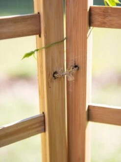 Bamboo Zig-Zag Trellis 24" X 36" -Soil N Tool Sales 8613151 6483