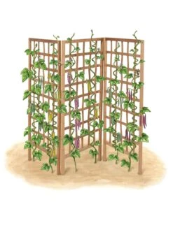 Bamboo Zig-Zag Trellis 24" X 36" -Soil N Tool Sales 8613151 art flat
