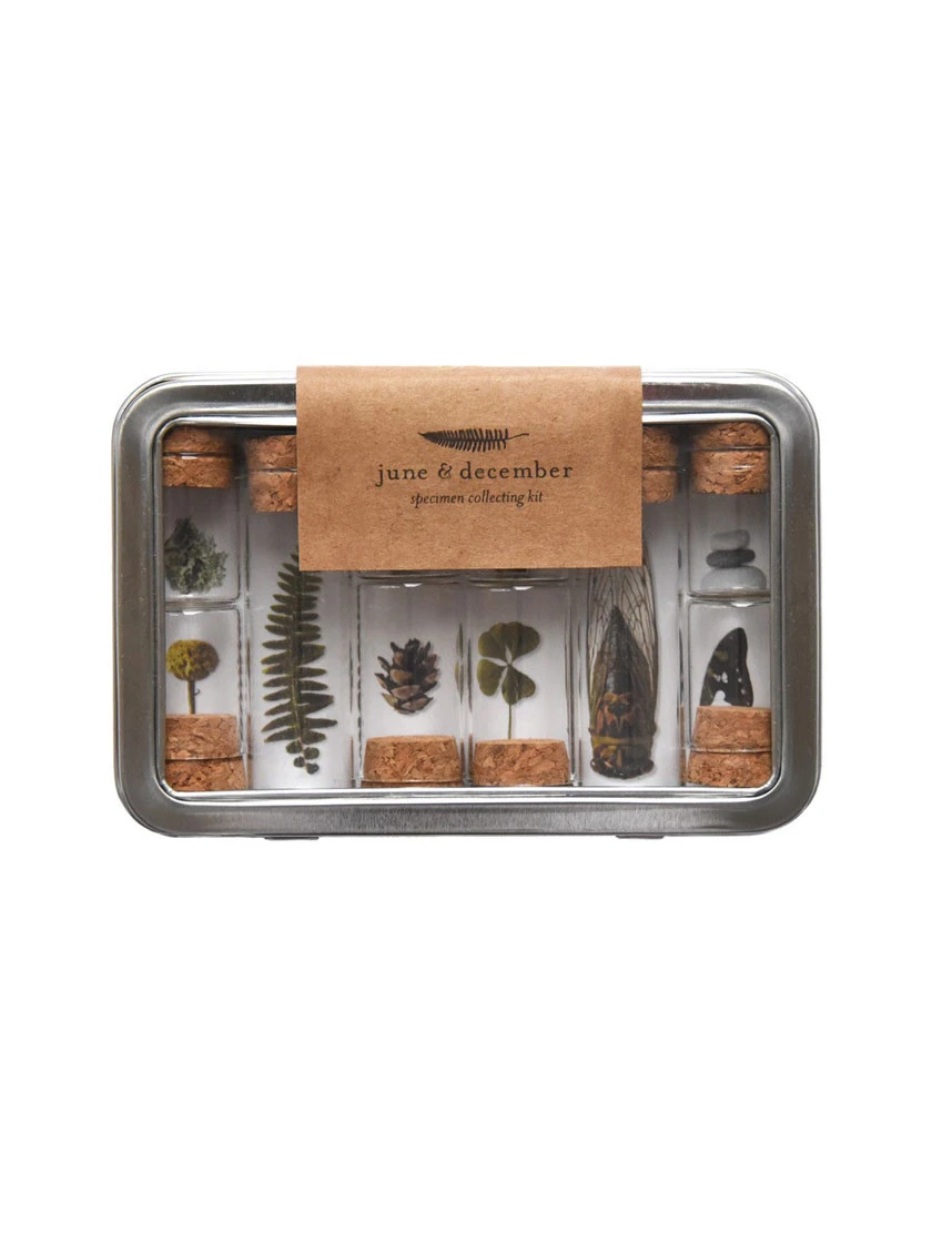 Botanical Specimen Collecting Kit 1 Botanical Specimen Collecting Kit