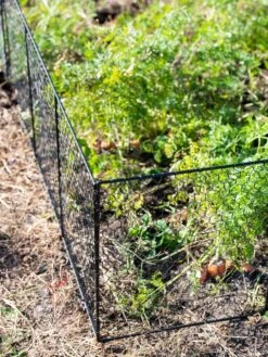 Chicken Wire Critter Fence, 16" High -Soil N Tool Sales 8613249 0309