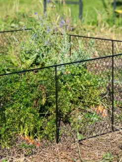 Chicken Wire Critter Fence, 16" High -Soil N Tool Sales 8613249 0352