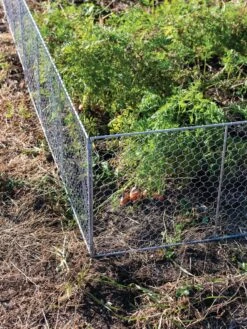 Chicken Wire Critter Fence, 16" High -Soil N Tool Sales 8613249 0358