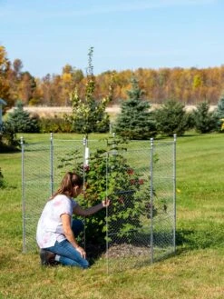 Tall Chicken Wire Critter Fence With Gate 16 Tall Chicken Wire Critter Fence With Gate -Soil N Tool Sales 8613260 0044
