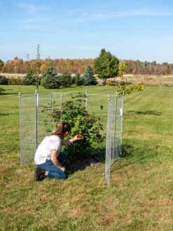 Tall Chicken Wire Critter Fence Extension Panel, Set Of 2 -Soil N Tool Sales 8613260 0090