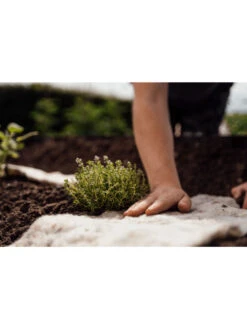 Hortiwool ®, Starter Garden Pad 7 Hortiwool ®, Starter Garden Pad -Soil N Tool Sales 8613263 09v