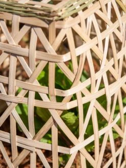 Bamboo Cloche, Set Of 2 -Soil N Tool Sales 8613351 0153