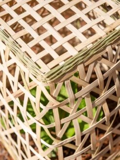 Bamboo Cloche, Set Of 2 -Soil N Tool Sales 8613351 0154