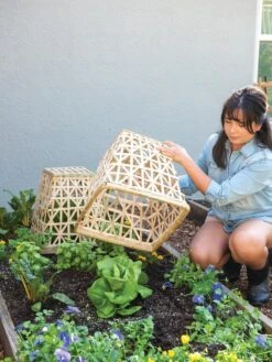 Bamboo Cloche, Set Of 2 -Soil N Tool Sales 8613351 6862