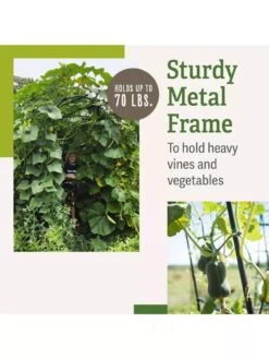 Titan Squash Tunnel -Soil N Tool Sales B07932DMCR plantsupport benefits 2