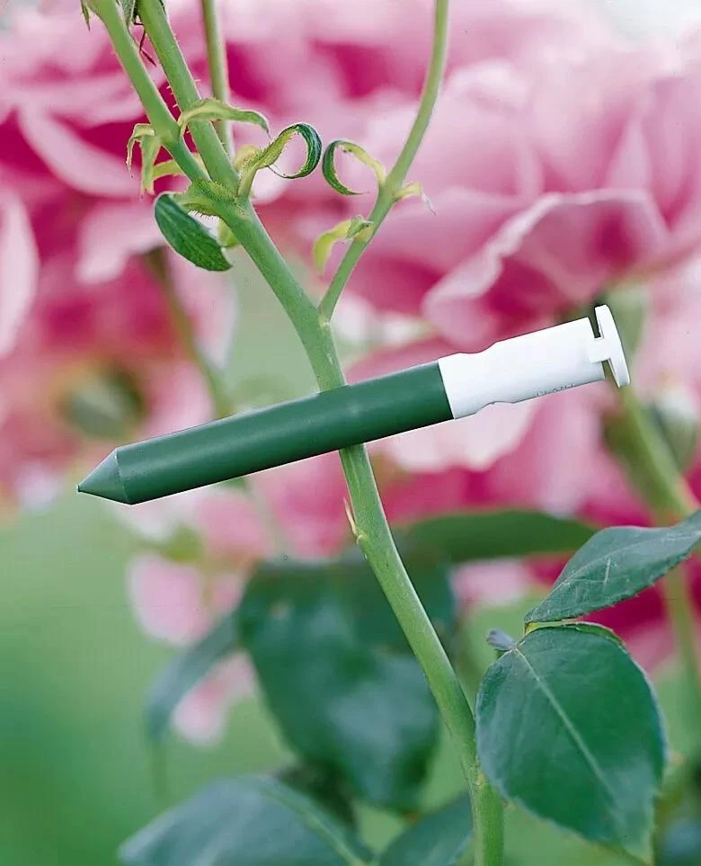 Garlic Clips, Set Of 25 2 Garlic Clips, Set Of 25 - Image 2