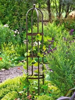 Jardin Bird Cage Support, 26" -Soil N Tool Sales GS39529 01 tif