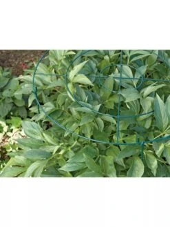 Grow Through Supports, Set Of 3 -Soil N Tool Sales GS40172 01 1