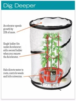 Tomato TLC Kits, Set Of 3 9 Tomato TLC Kits, Set Of 3 -Soil N Tool Sales hiw 8594214 jpg