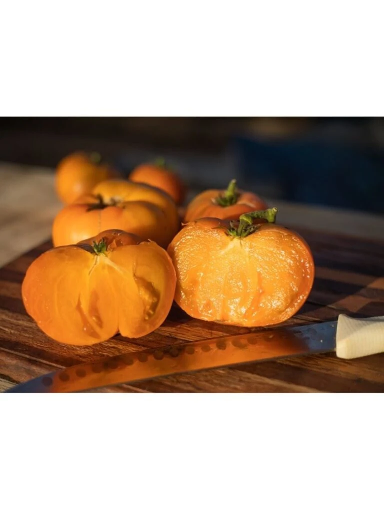 Soil N Tool Sales -Soil N Tool Sales 3 4 crop 07755 8613568 WHITE PACK Tomato Uluru Ochre SDSC 768x1024 1